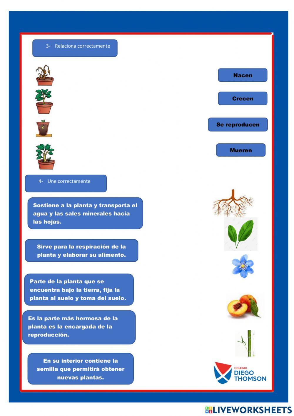 Evaluación de ciencias