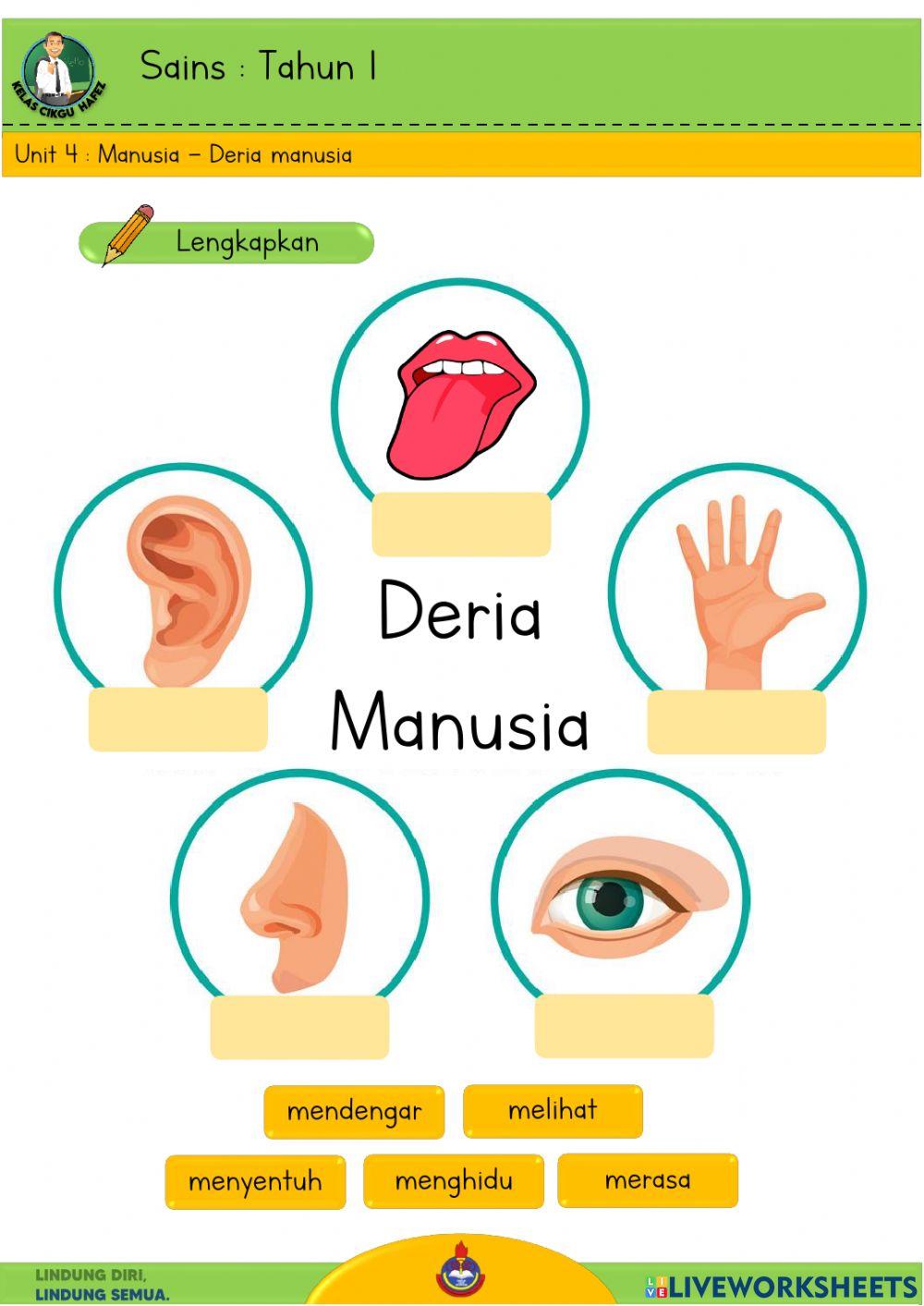 Sains T1 - Deria manusia