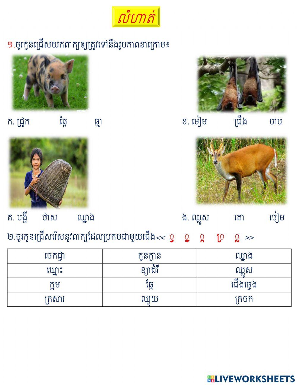 លំហាត់