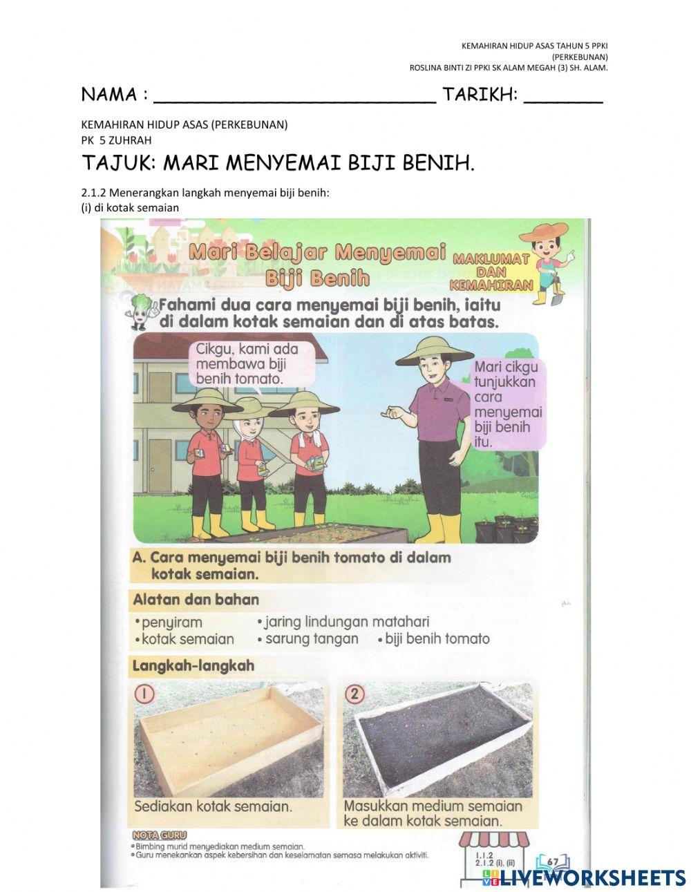 Mari menyemai biji benih tahun 5 PPKI-kotak semaian