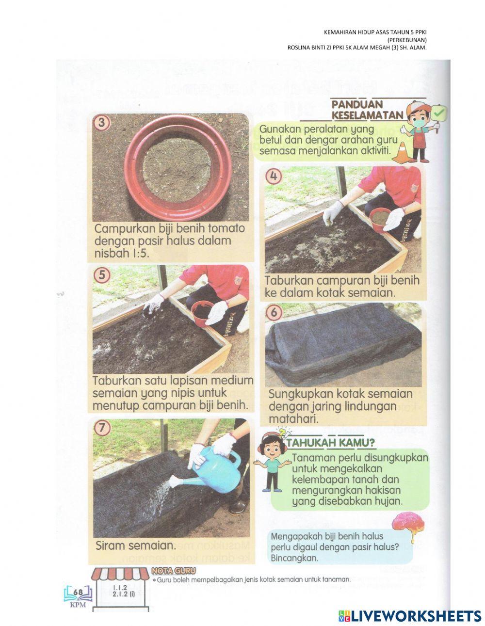 Mari menyemai biji benih tahun 5 PPKI-kotak semaian