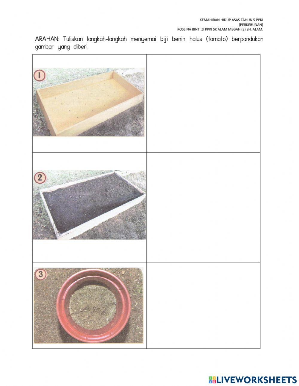 Mari menyemai biji benih tahun 5 PPKI-kotak semaian