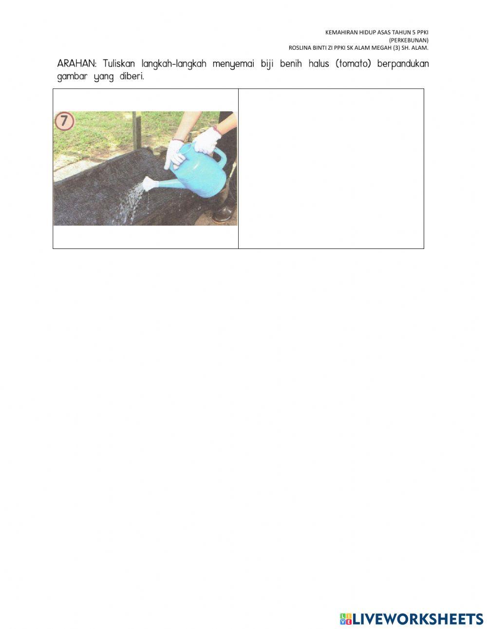 Mari menyemai biji benih tahun 5 PPKI-kotak semaian