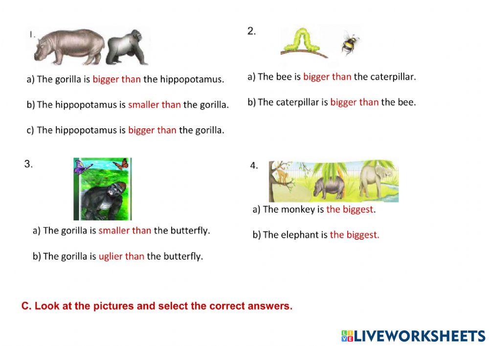 Comparatives and Superlatives