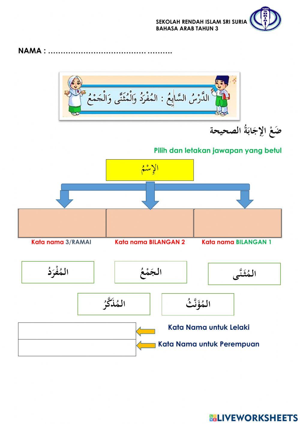 Bahasa Arab Tahun 3 - المفرد المثنى والجمع