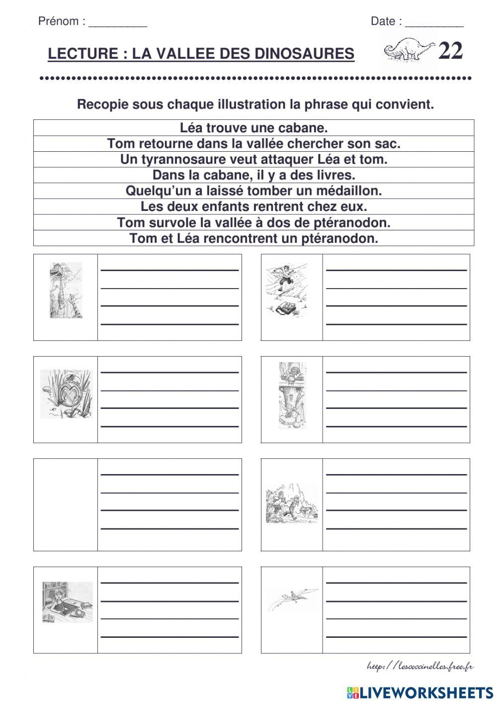 Examen - La vallée des dinosaures.