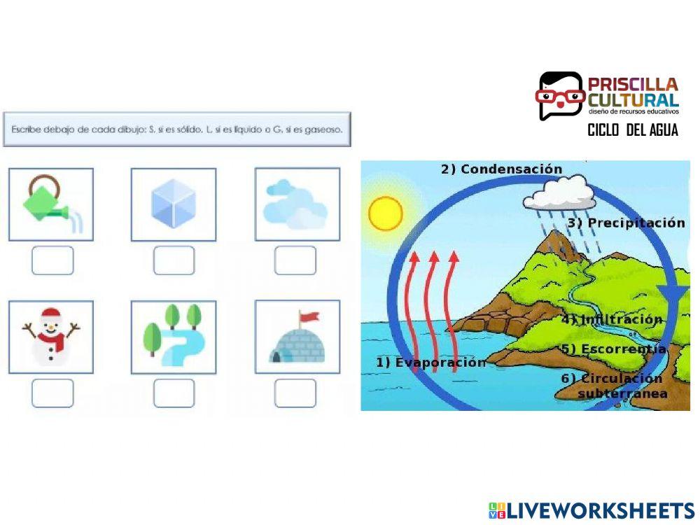 Astronomia : El ciclo del agua