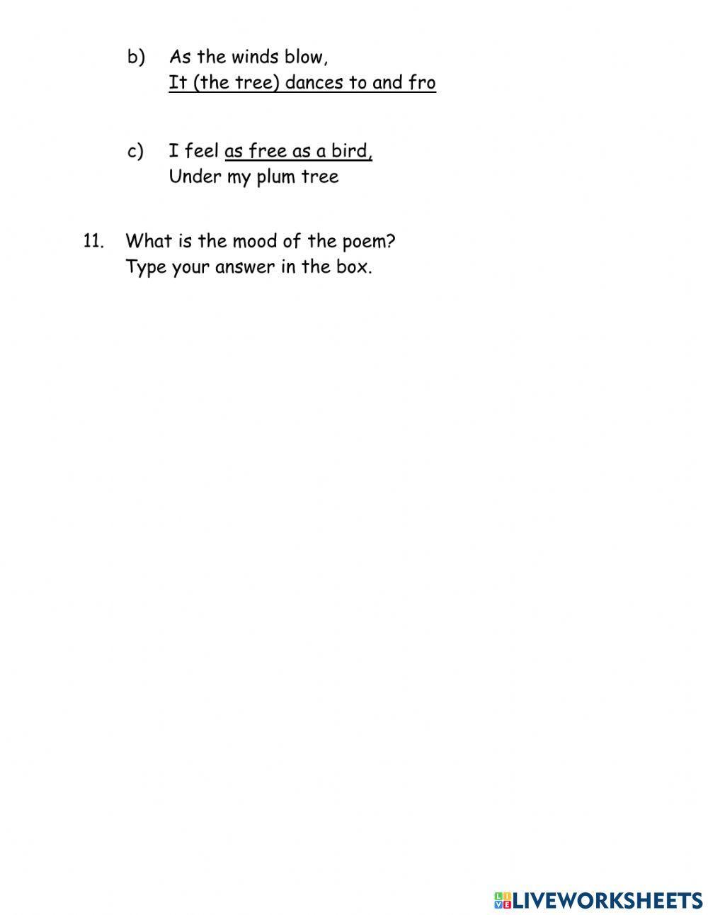 Standard 3 Comprehension Test 