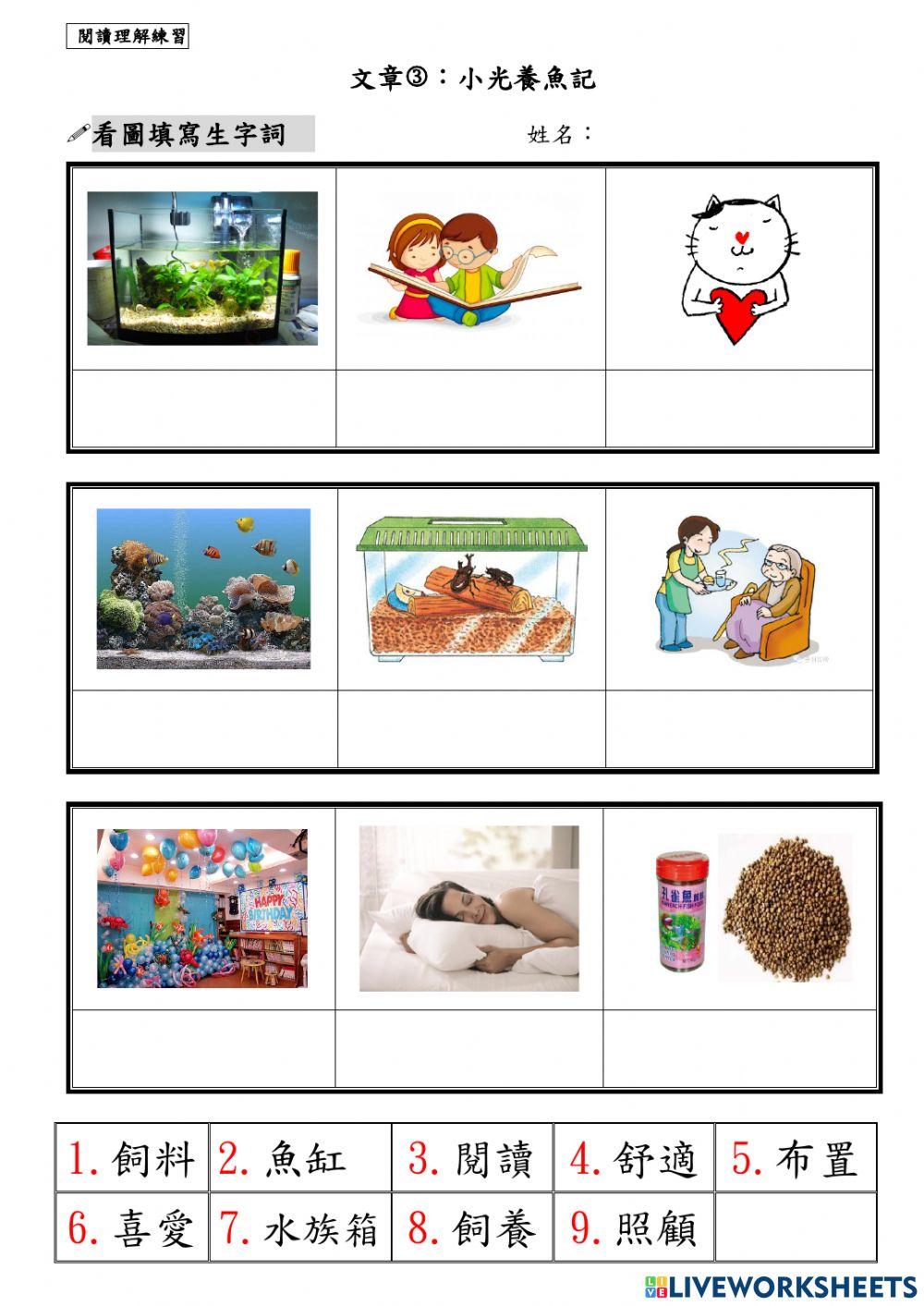 語文小光養魚記(學習單)