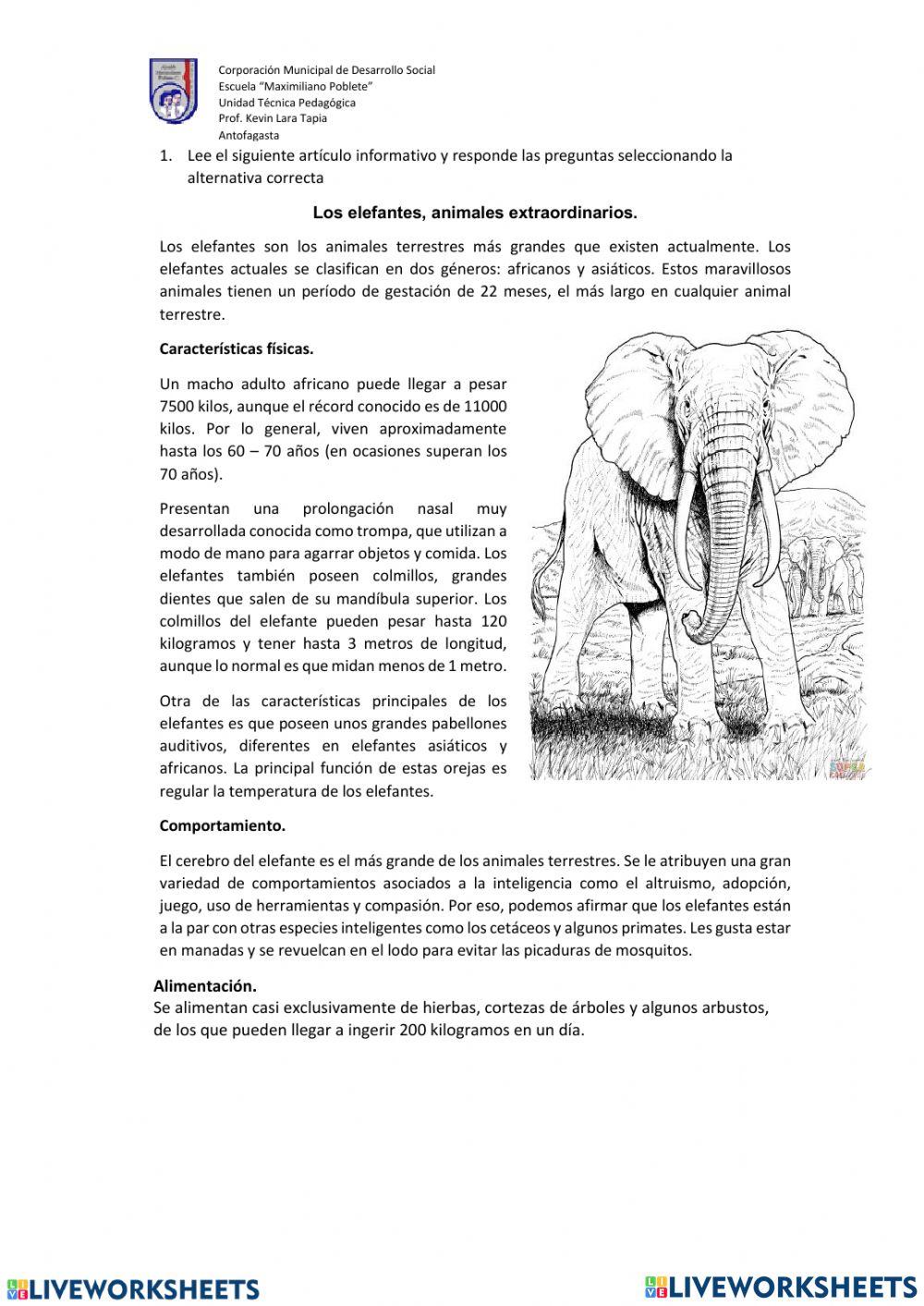 Artigo generos textuais