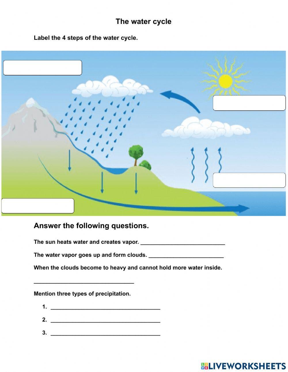 Water Cycle Worksheet