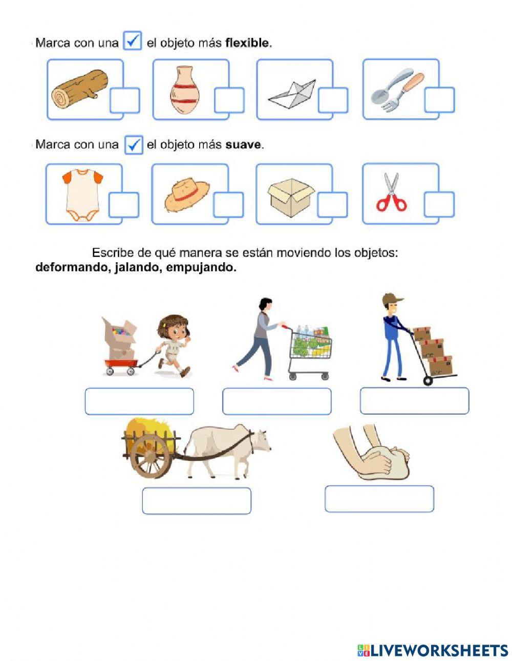 Conocimiento del medio