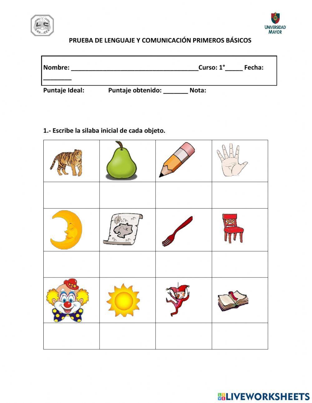 Prueba Primero Básicos