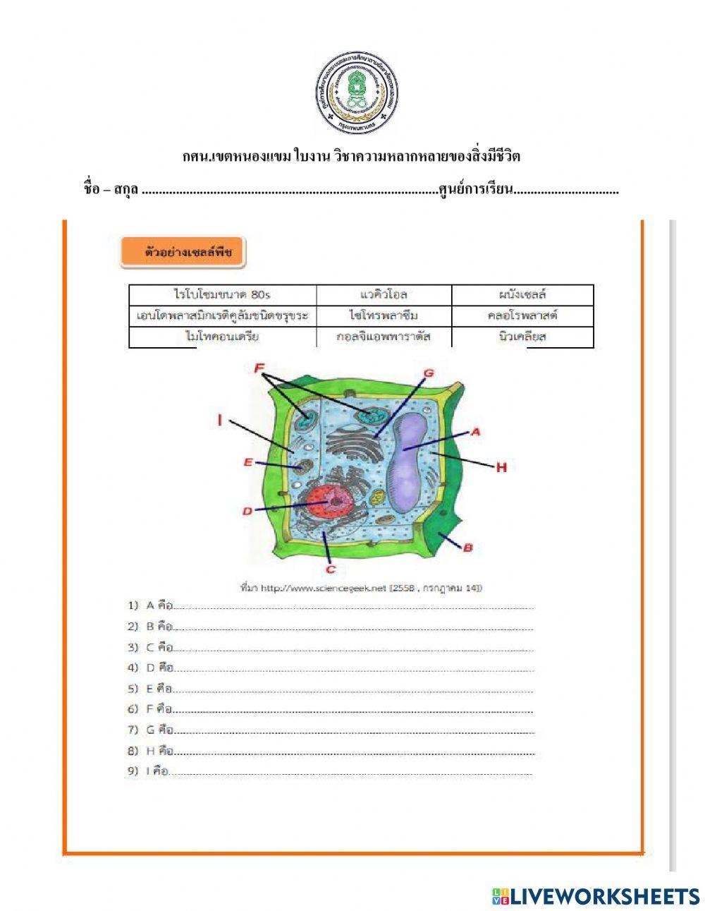 ความหลากหลายของสิ่งมีชีวิต