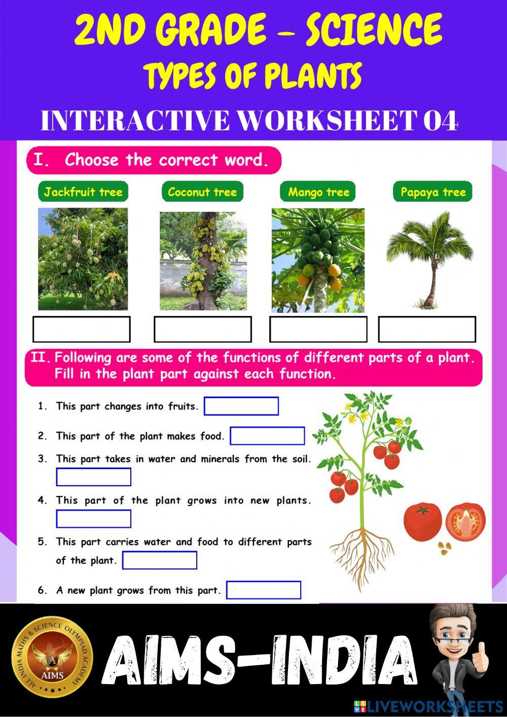 2nd-science-ps04-types of plants