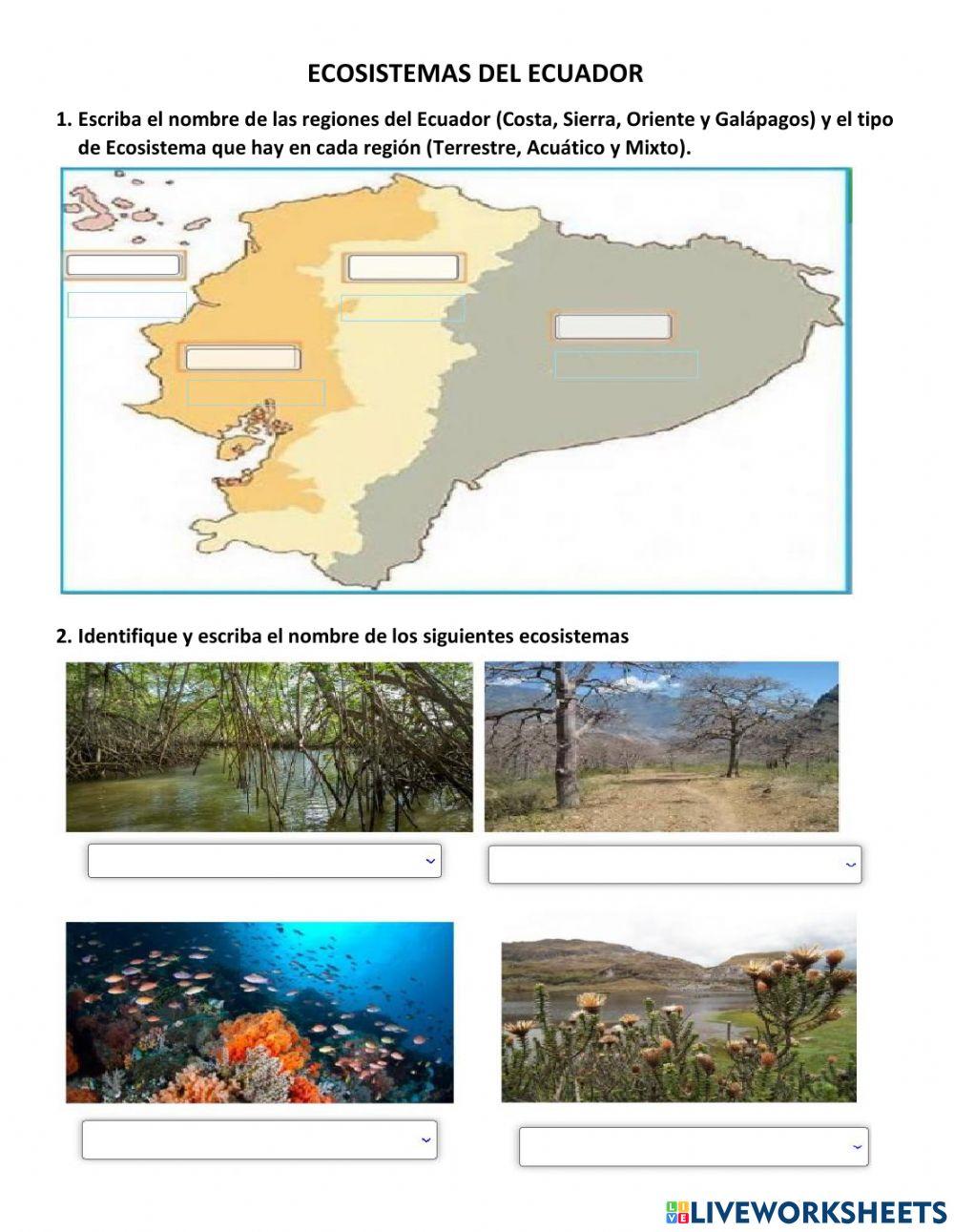 3127671 Ecosistemas Del Ecuador Annamorenom 3127671 Ecosistemas Del Ecuador Annamorenom