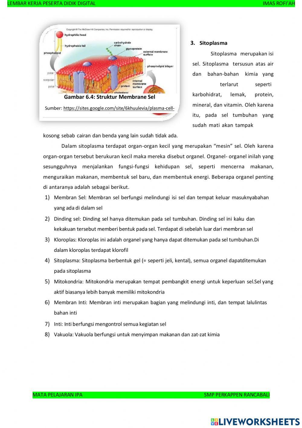Sistem Organisasi Kehidupan