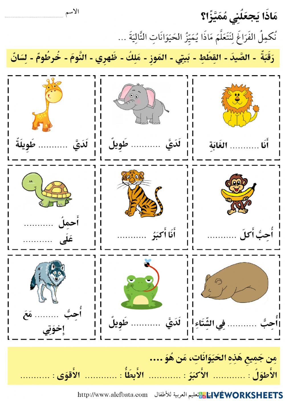 من يعيش في الغابة