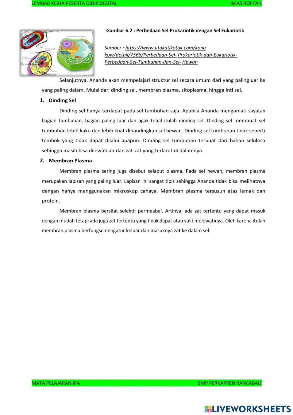 Sistem Organisasi Kehidupan