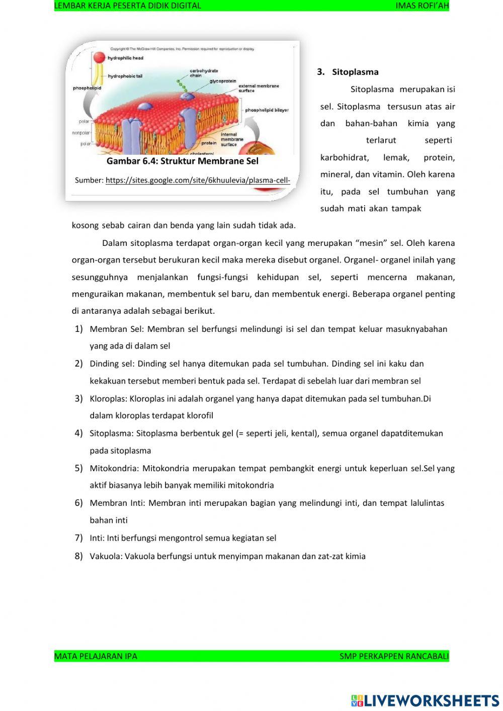 Sistem Organisasi Kehidupan