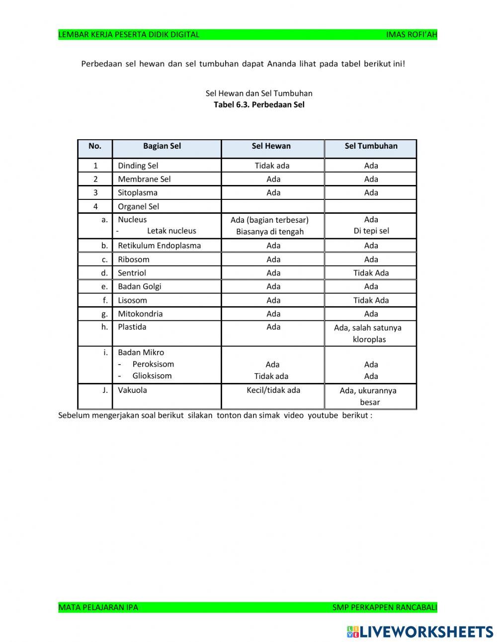 Sistem Organisasi Kehidupan