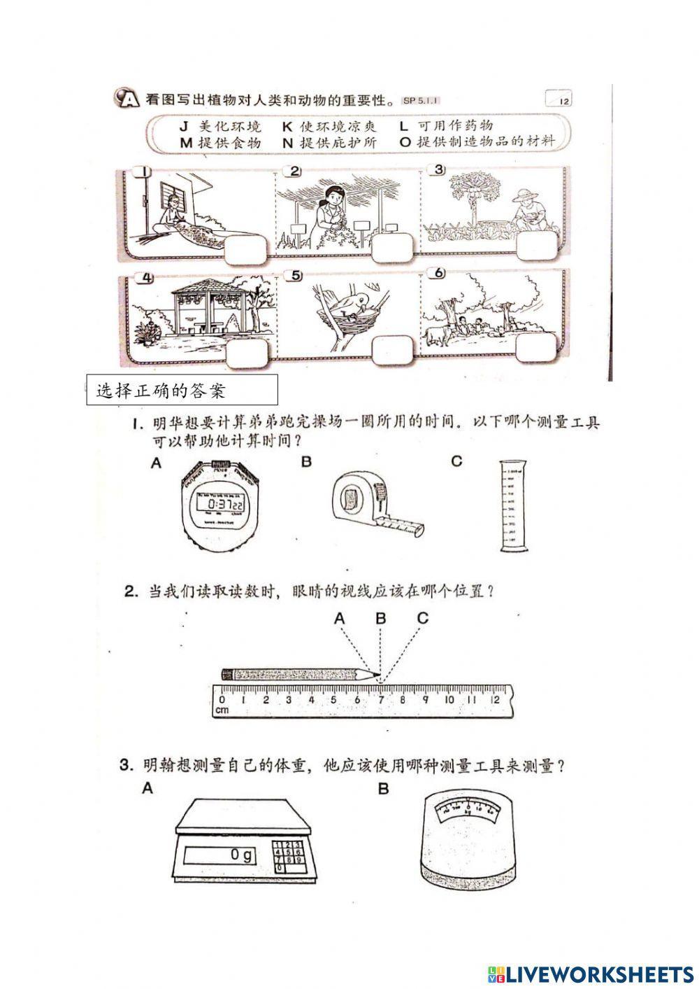 二年级科学上半年评估