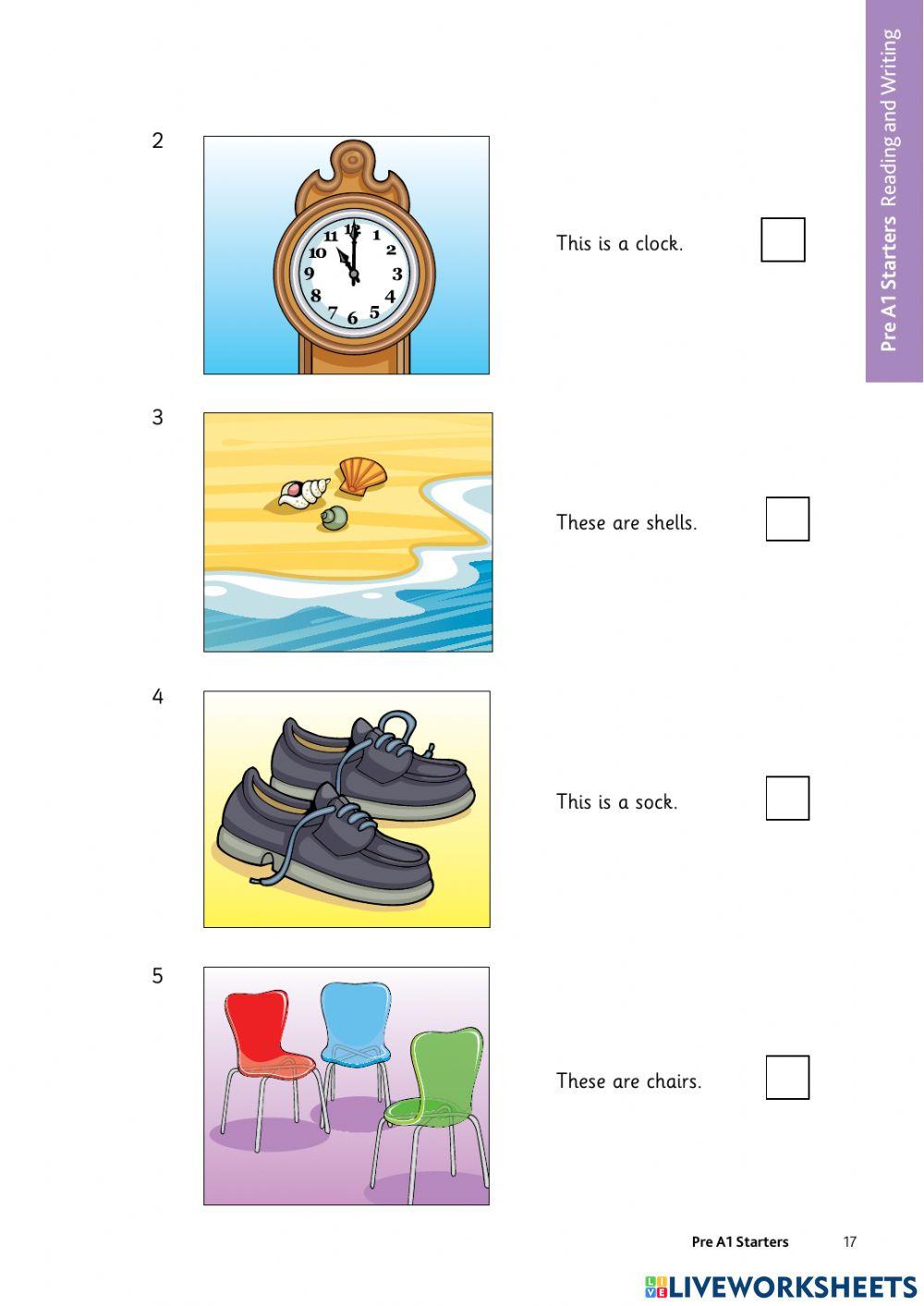 STARTERS READING TEST