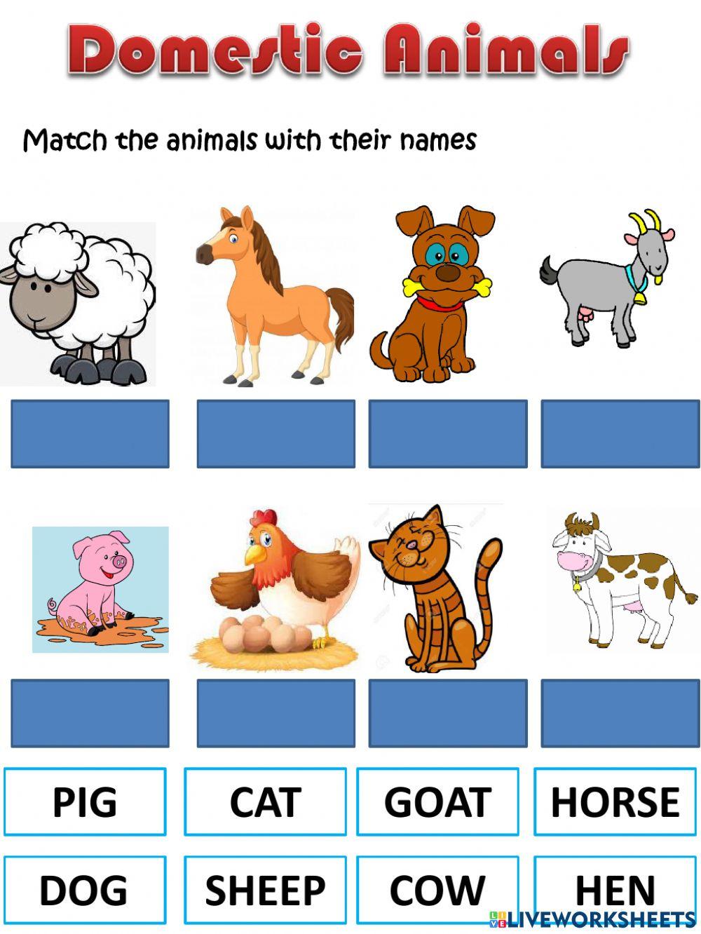 Domestic animals and colors