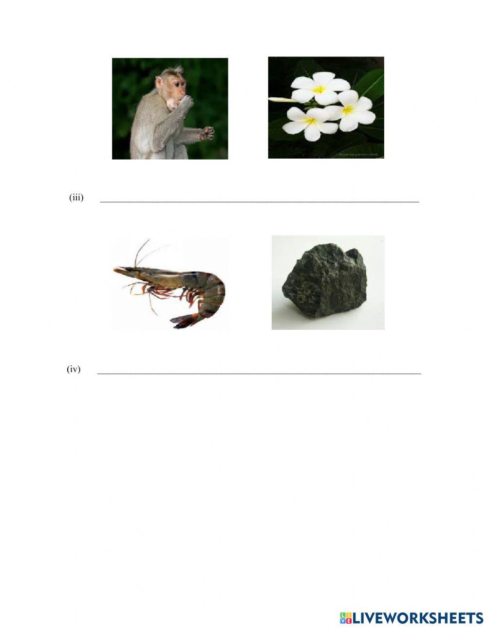 Kesalahan Ejaan dan Peribahasa