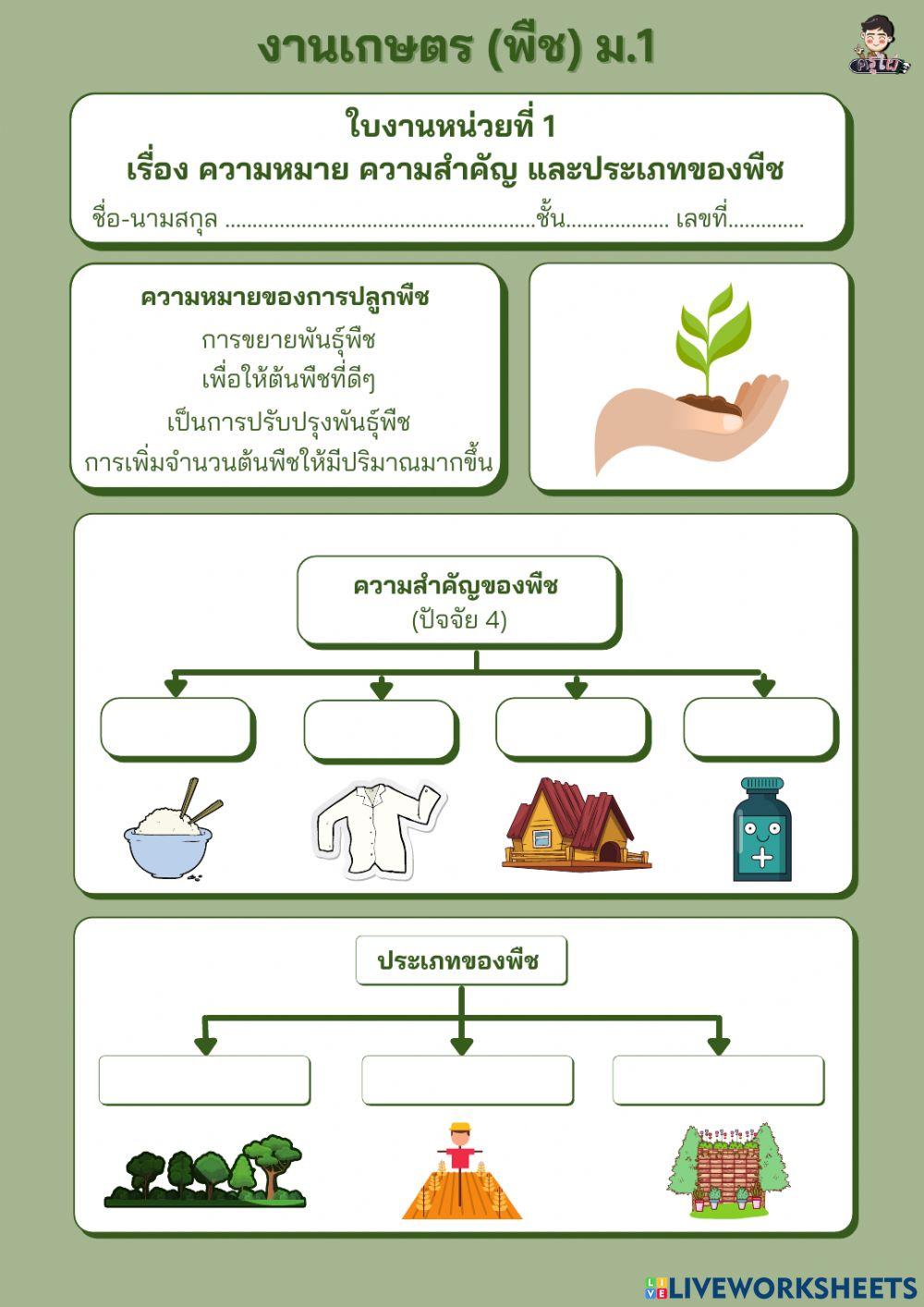ใบงาน เรื่อง ความหมาย ความสำคัญ ประเภทของพืช (ม.1) 