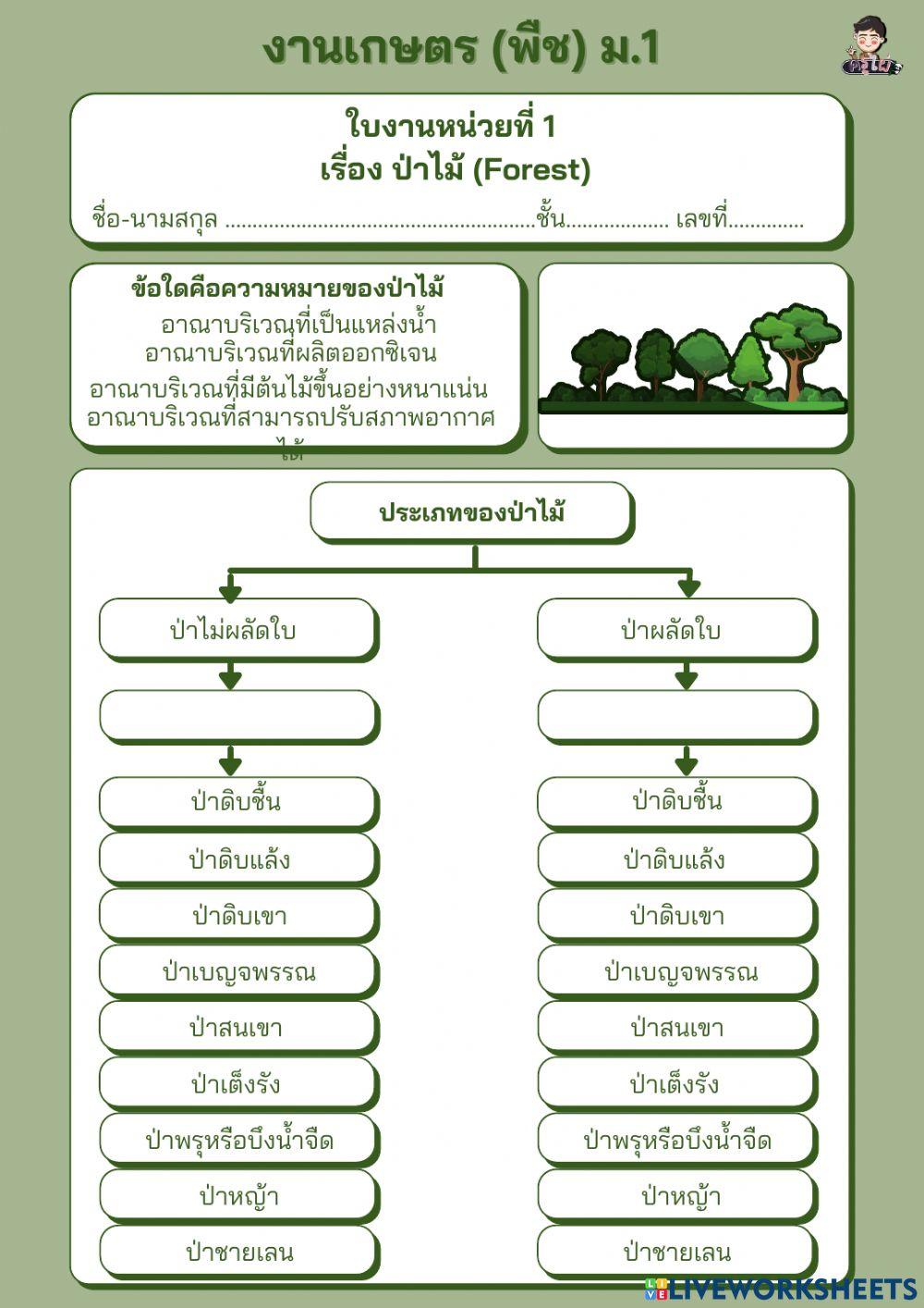 ใบงาน เรื่อง ป่าไม้ (ม.1)