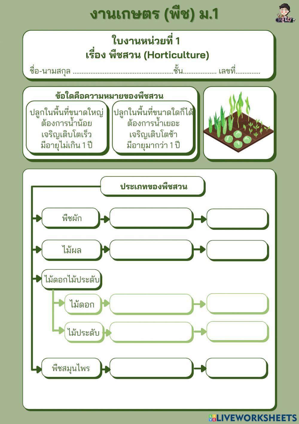 ใบงาน เรื่อง พืชสวน (ม.1)