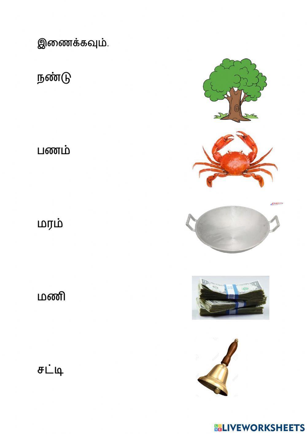 சொற்கள்