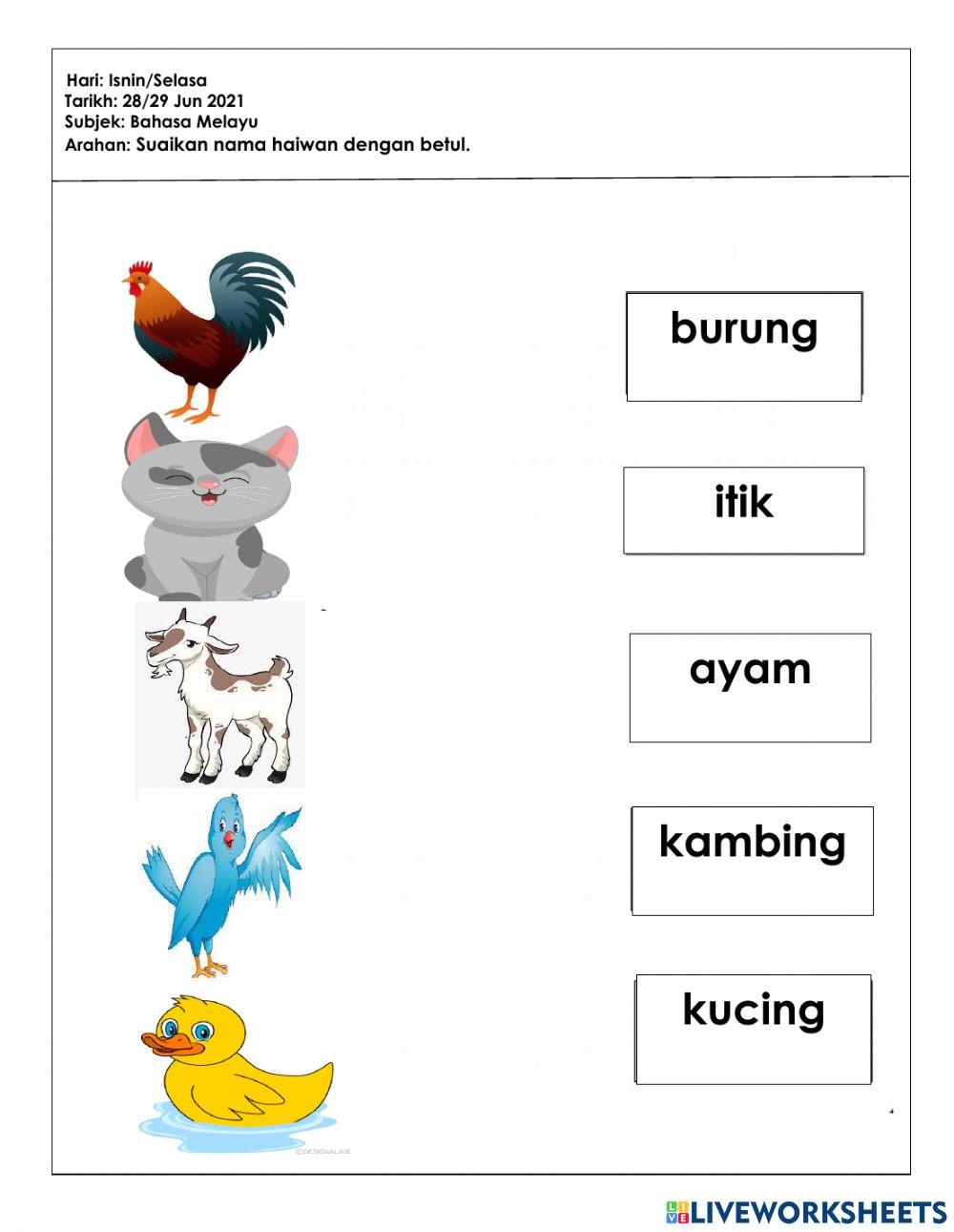 Tugasan pkp 3.0 bm (5tahun)