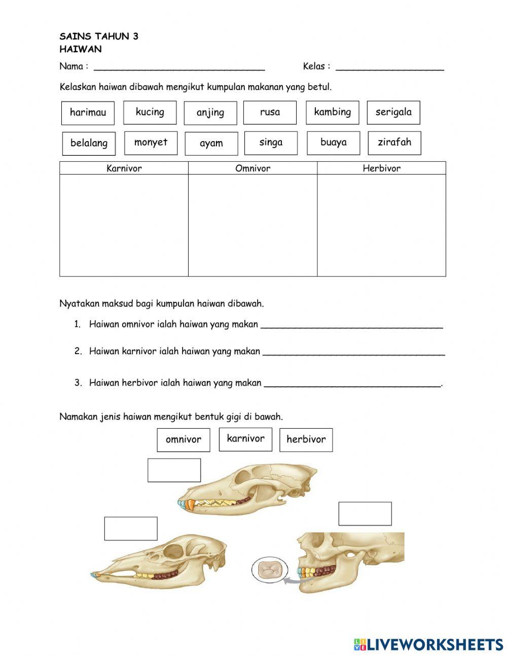 Sains tahun 3 haiwan