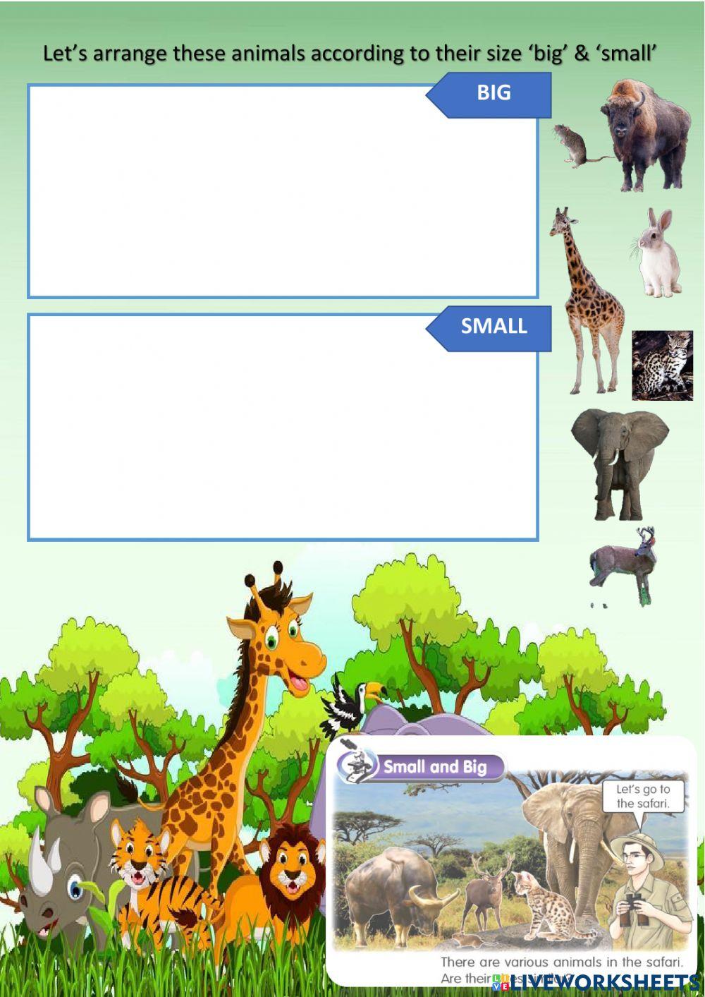 Big & Small interactive worksheet | Live Worksheets
