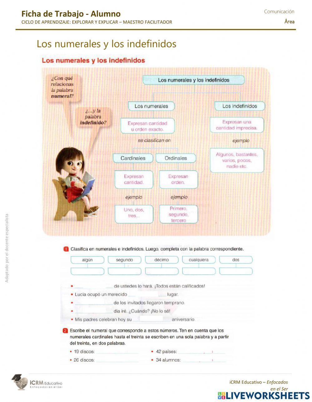 Los numerales y los indefinidos