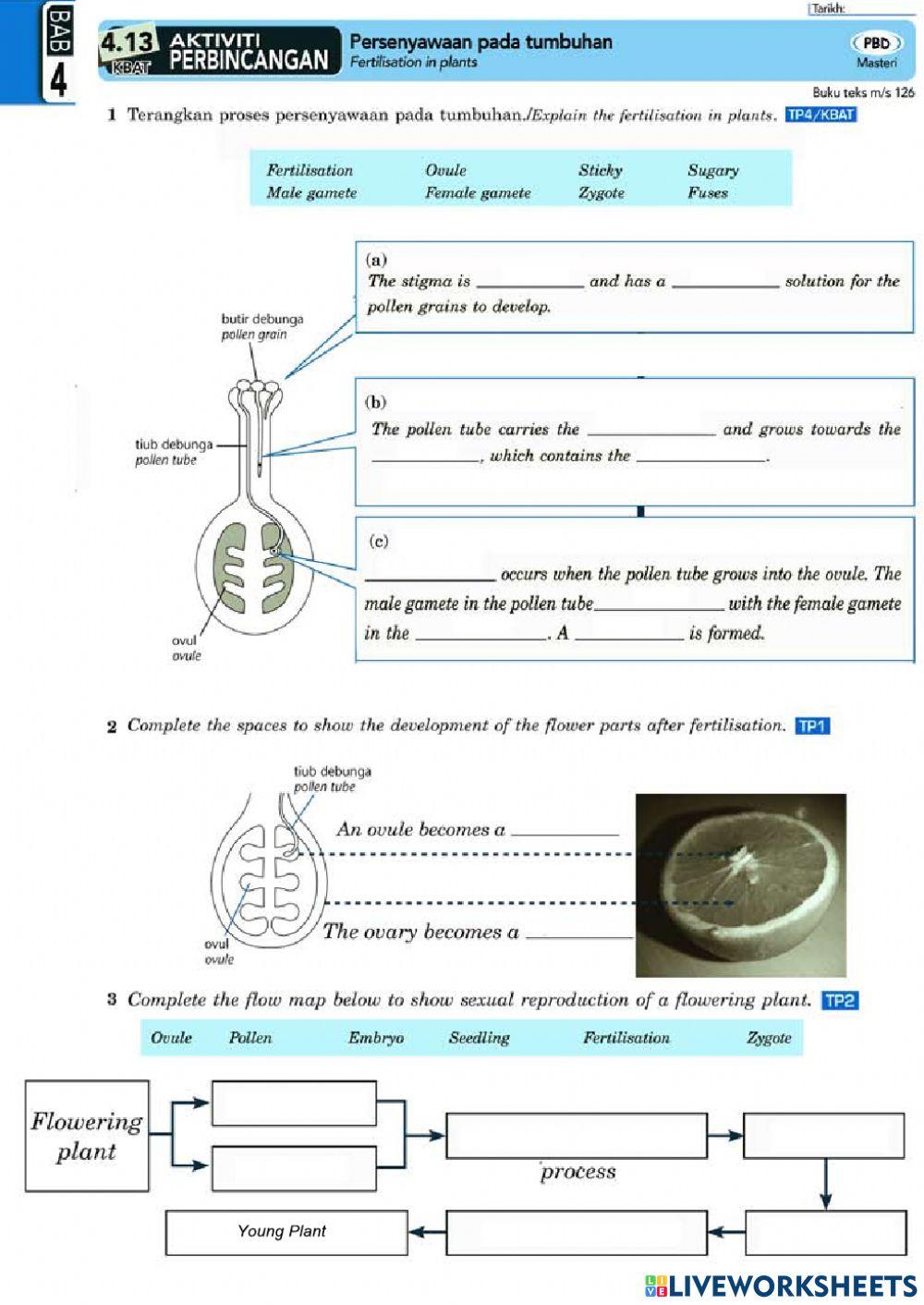 Fertilisation of plant