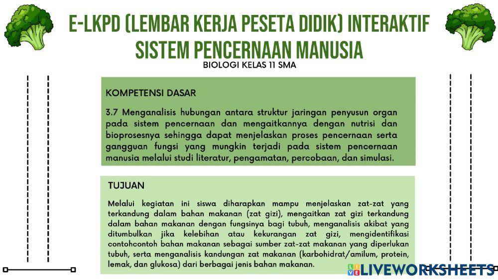 E-lkpd sistem pencernaan manusia-sabrina intan maulida (1813041046)
