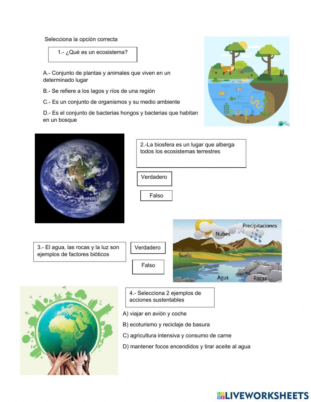 Ecosistemas y sustentabilidad