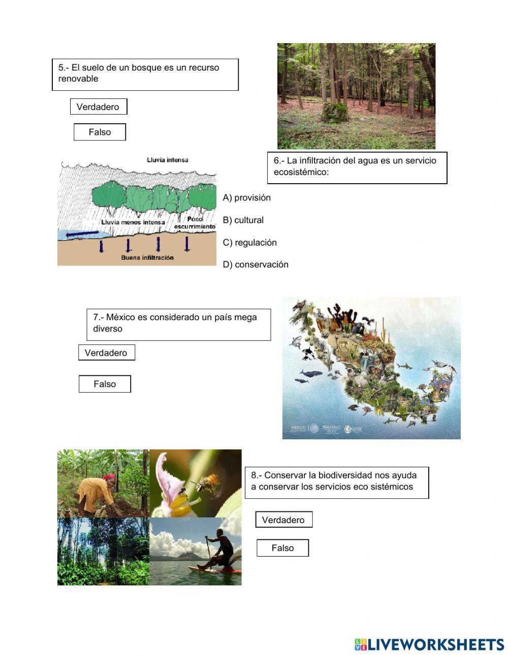 Ecosistemas y sustentabilidad