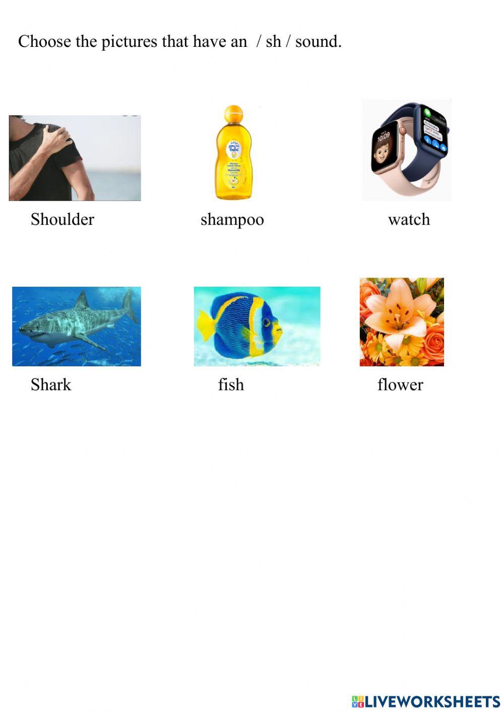 5th Act 3 Song: sh sound