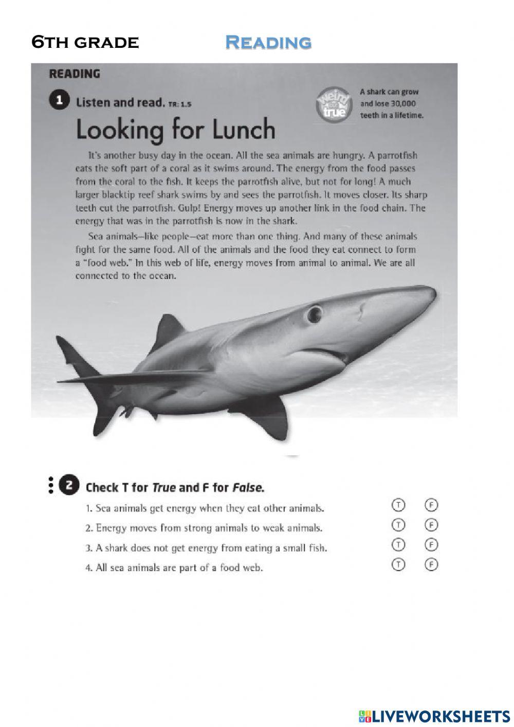 6th Grade 28th Reading