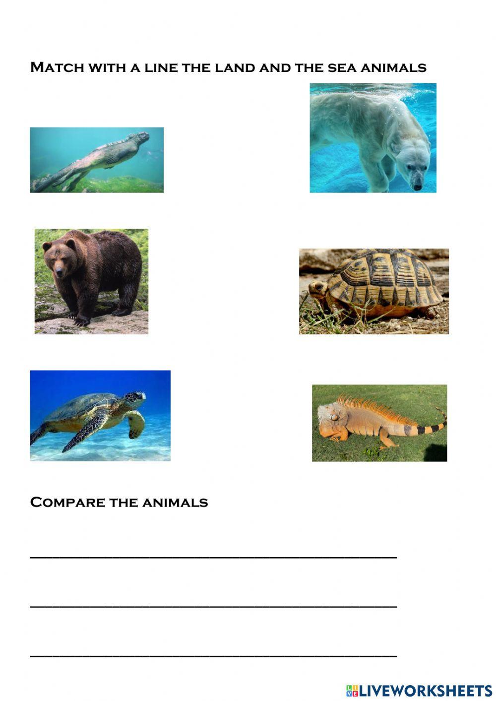 6th Grade 28th writing