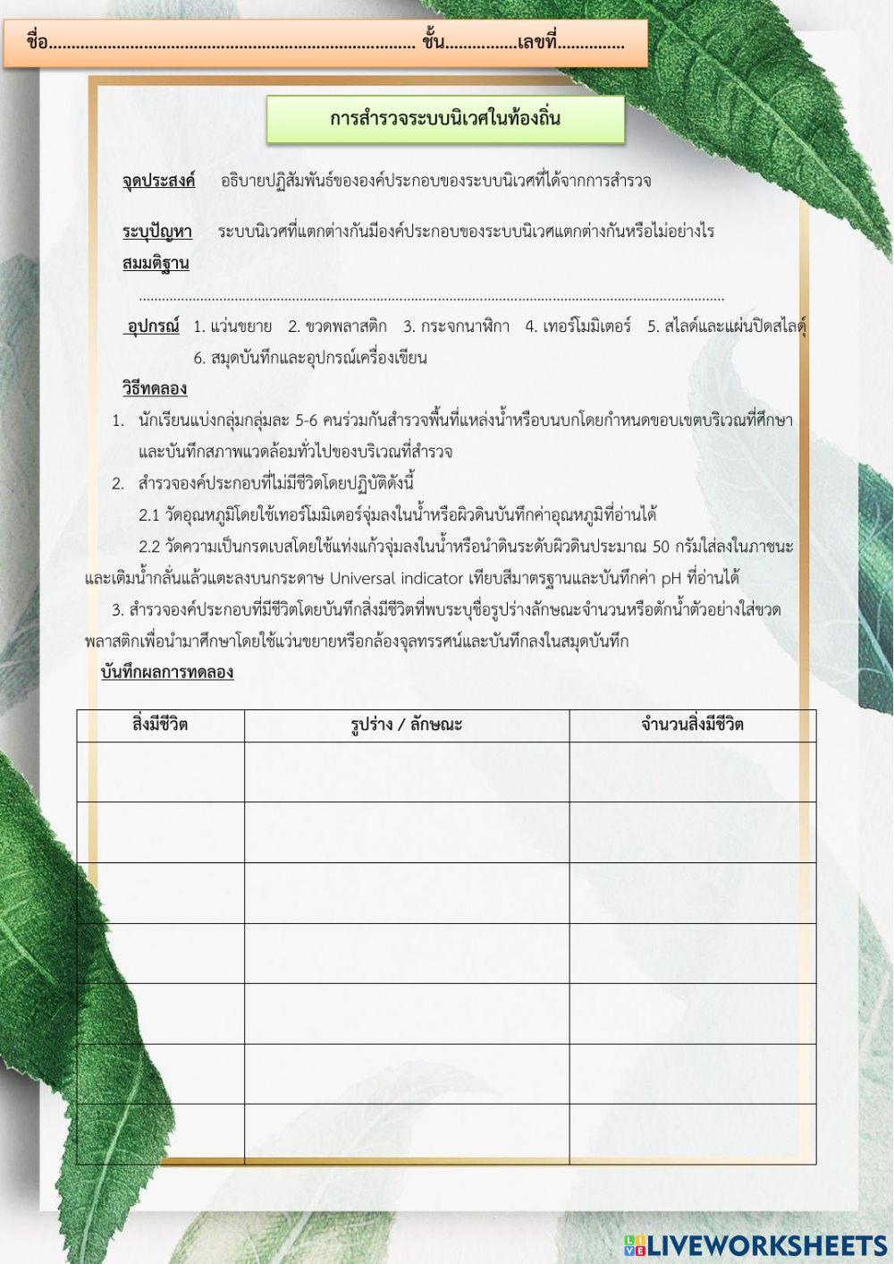 ใบงานระบบนิเวศ