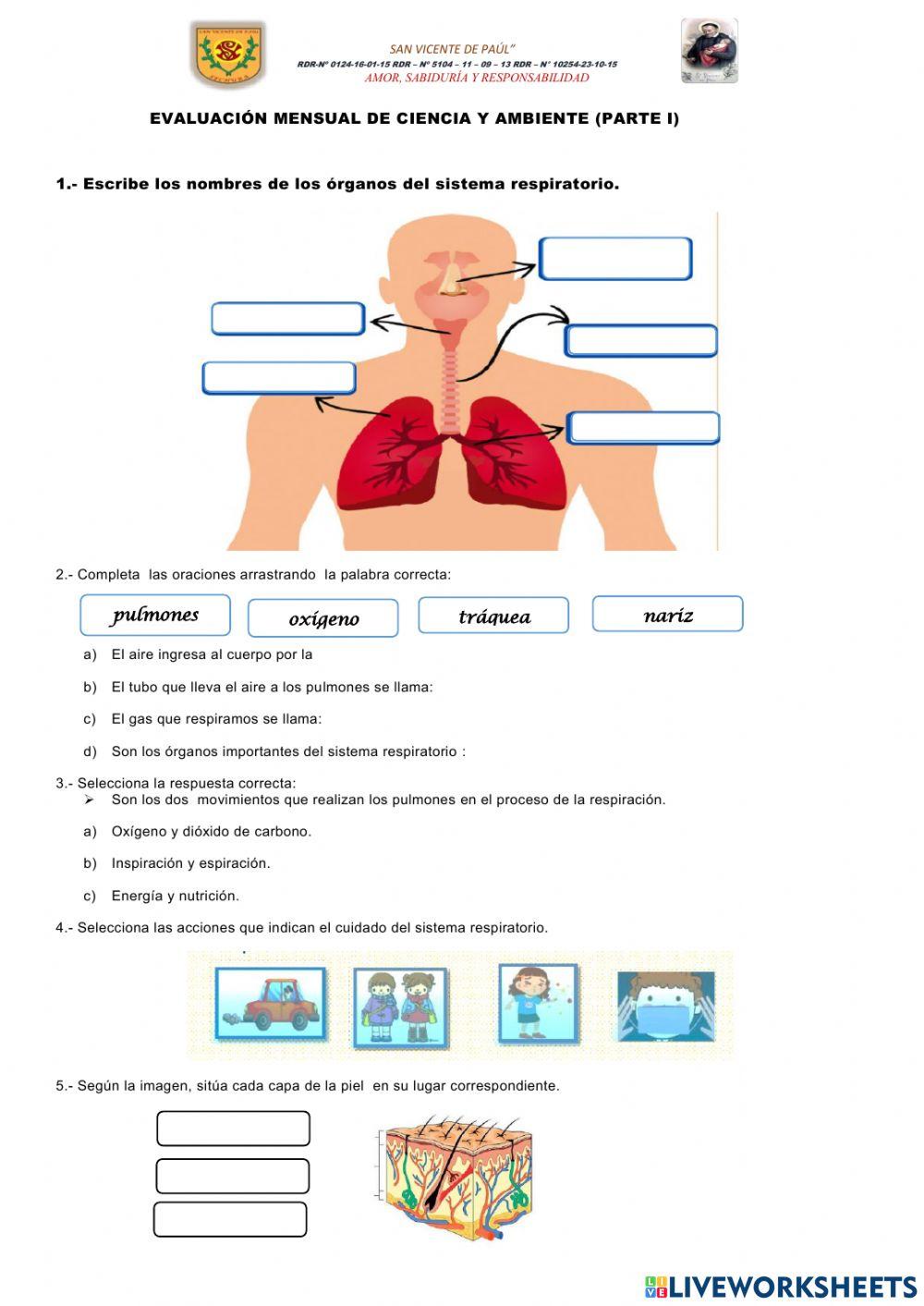 Evaluacion mensual de ciencia y ambiente
