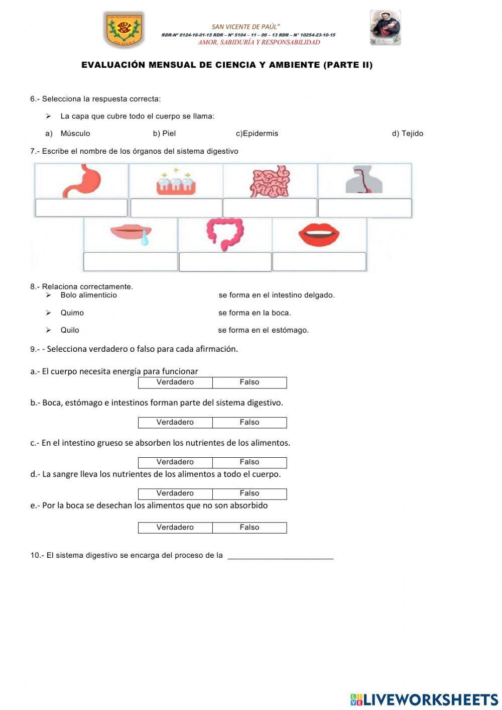 Evaluacion mensual de ciencia y ambiente - PARTE II