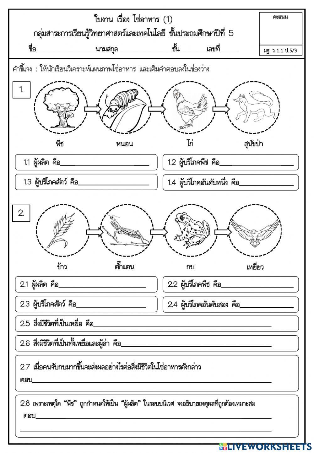 โซ่อาหาร 1