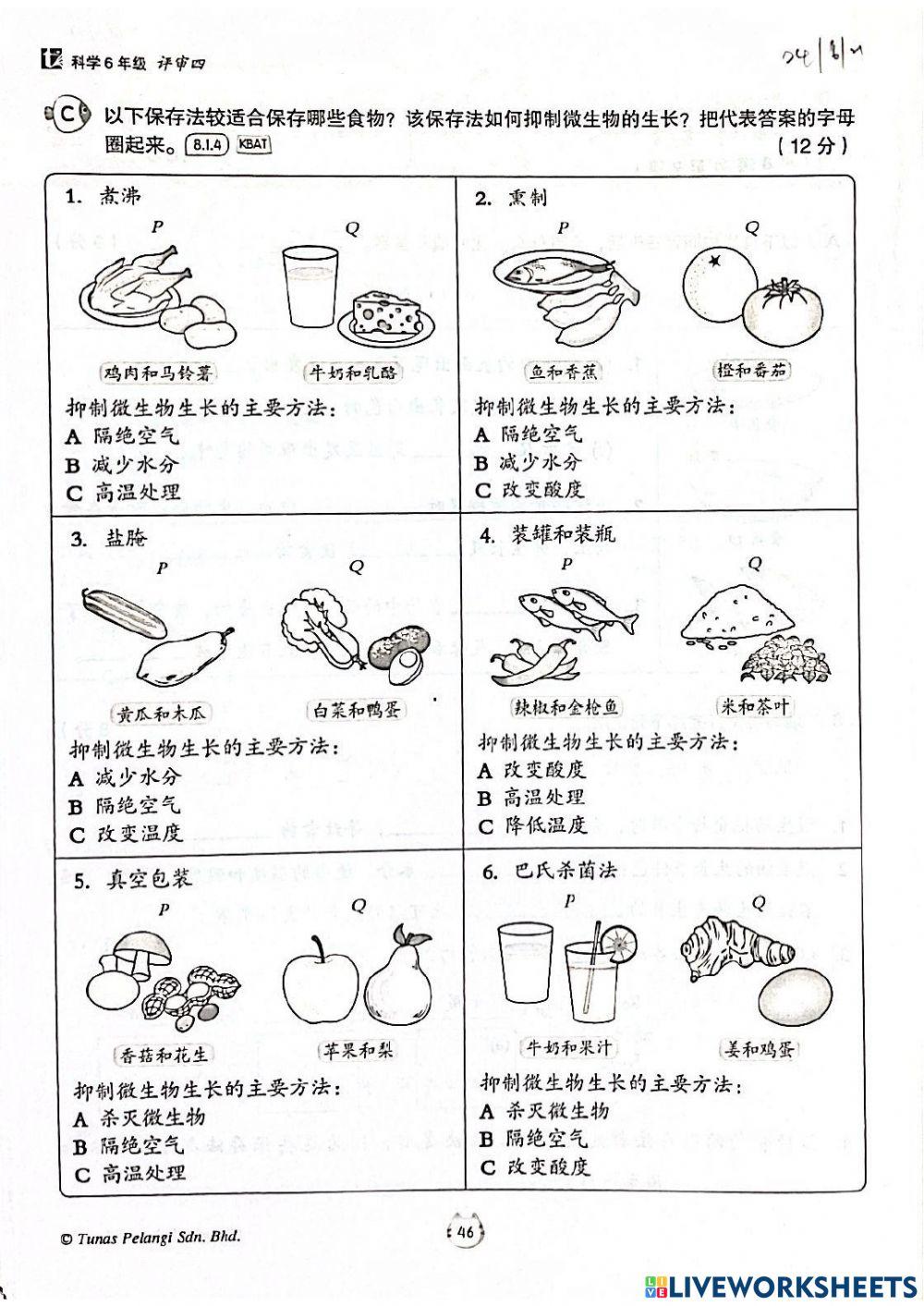 六年级科学 单元8 食物的保存