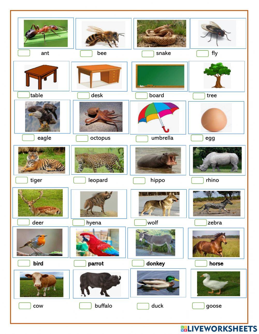 Exercise about the articles a &an